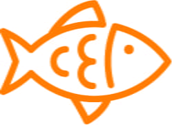 Bright Minds Brain Health Nutrition